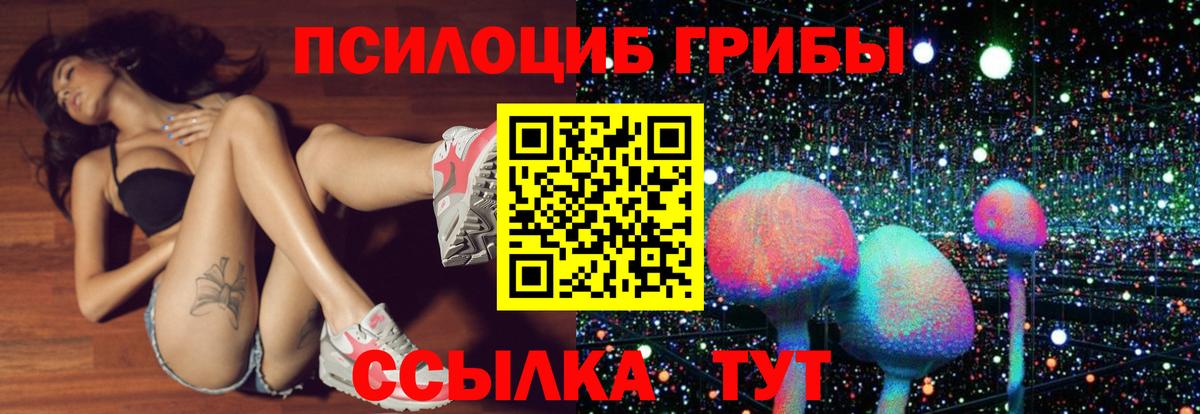 Галлюциногенные грибы Psilocybine cubensis Гай